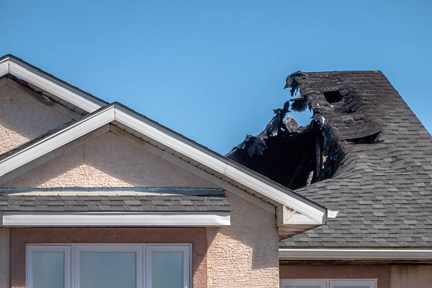 Top rated local Fire Damage Removal specialists in Dallas, TX
